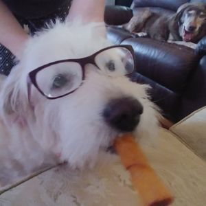 Meet your Posher, Joanna